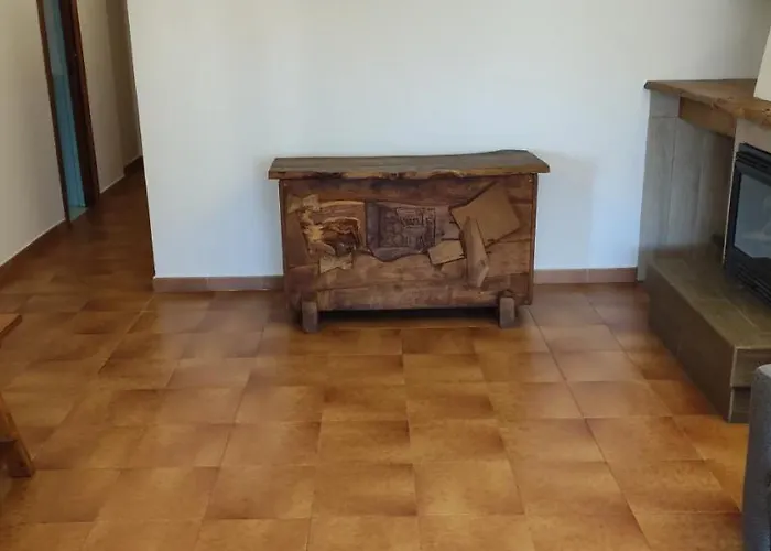 Cisto * Ольбия